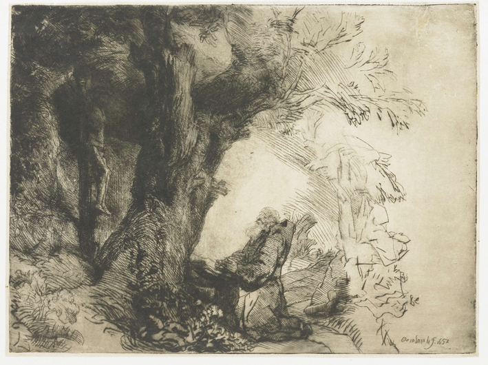  伦勃朗·梵·莱茵 Rembrandt van Rijn——林中祈祷的圣杰罗姆